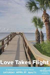 Love Takes Flight - Poster