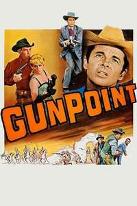 Gunpoint - Posters