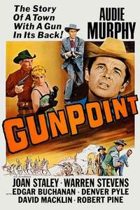 Gunpoint - Posters