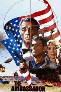 The Ambassador - Posters