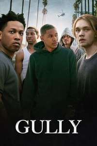 Gully - Poster