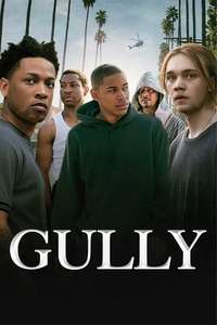 Gully - Poster