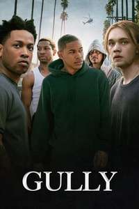 Gully - Poster