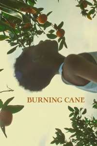 Burning Cane - Poster