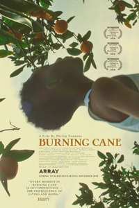 Burning Cane - Poster