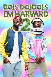 How High 2 - Poster