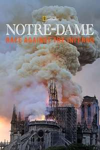 Notre-Dame: Race Against the Inferno - Posters