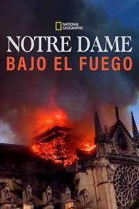 Notre-Dame: Race Against the Inferno - Posters