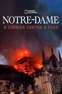 Notre-Dame: Race Against the Inferno - Posters