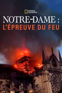 Notre-Dame: Race Against the Inferno - Posters