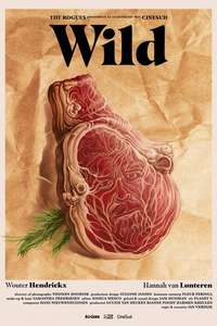 Wild - Poster