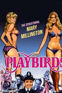 The Playbirds - Posters