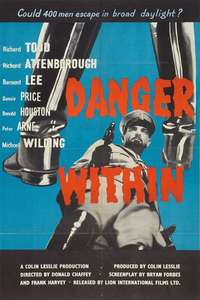 Danger Within - Poster