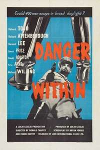 Danger Within - Poster