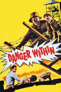 Danger Within - Poster