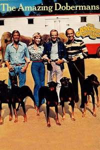 The Amazing Dobermans - Posters
