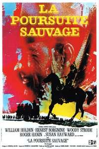 The Revengers - Posters