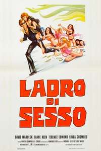 The Sex Thief - Poster