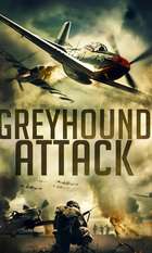 Greyhound Attack