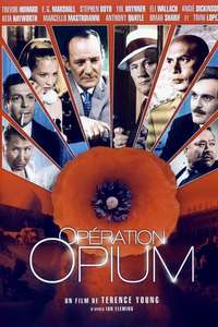 Poppies Are Also Flowers - Poster