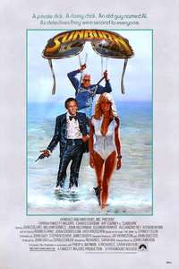 Sunburn - Poster