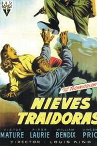Dangerous Mission - Poster