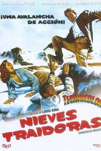Dangerous Mission - Poster