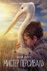 Storm Boy - Poster