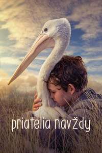 Storm Boy - Poster