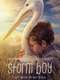 Storm Boy