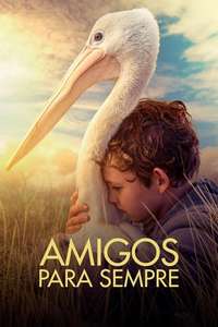 Storm Boy - Poster