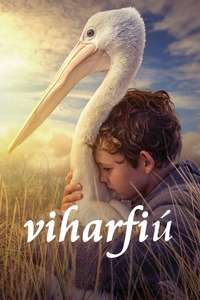 Storm Boy - Poster