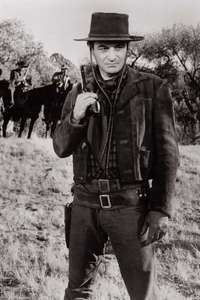 Cattle King - Poster