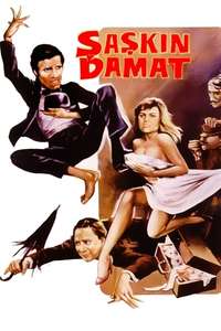 Şaşkın Damat - Posters