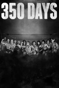 350 Days - Poster