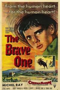 The Brave One - Posters