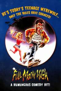 Full Moon High - Poster