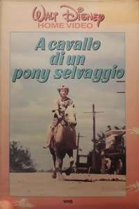 Ride a Wild Pony - Poster