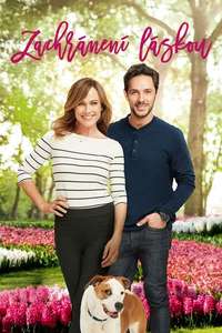Love to the Rescue - Poster