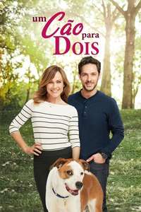 Love to the Rescue - Poster