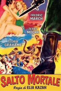 Man on a Tightrope - Poster