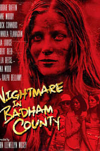 Nightmare in Badham County - Poster