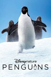 Penguins - Posters