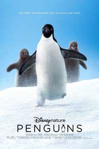 Penguins - Posters