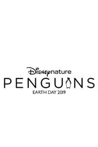 Penguins - Posters