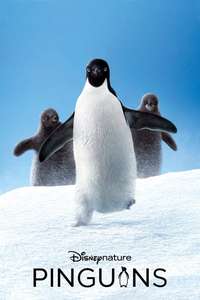 Penguins - Posters