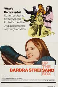 Up the Sandbox - Poster