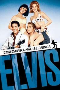 Kissin' Cousins - Poster