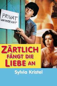 Private Lessons - Poster