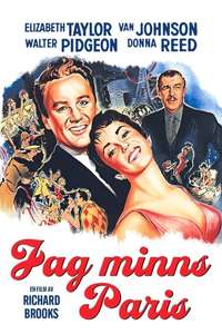 The Last Time I Saw Paris - Poster
